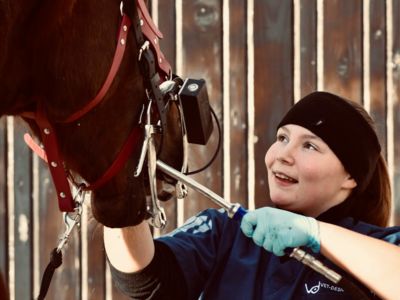 banner picture Hamiot Camille