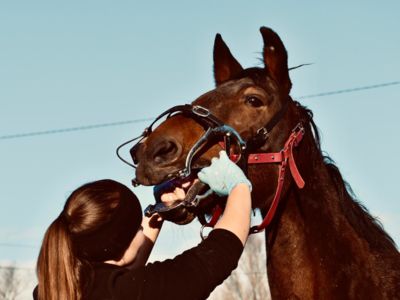 photo account presentation