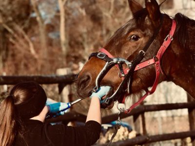 photo account presentation