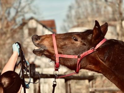 photo account presentation