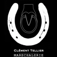photo de profil Clement Tellier