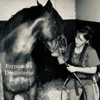 photo de profil Fernandes Cindy
