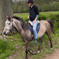 photo de profil Le Grand Violette