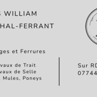 photo de profil Salles William