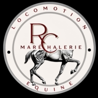 photo de profil Marechalerie RC