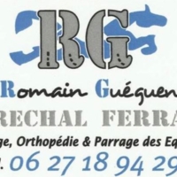 photo de profil Gueguen Romain