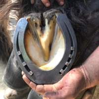 photo de profil Lemarie Francois