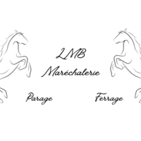 photo de profil Buttignol Lino