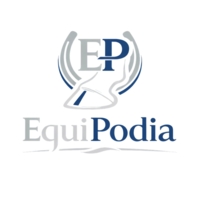 photo de profil Attou Samy