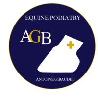 photo de profil Giraudet Antoine