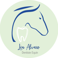 photo de profil Alvaro Lea