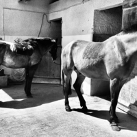 photo de profil Kolisz Zacharie
