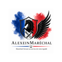 photo de profil Dehay Alexandre