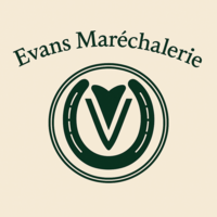photo de profil Evans Mollie