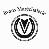 photo de profil Evans Mollie