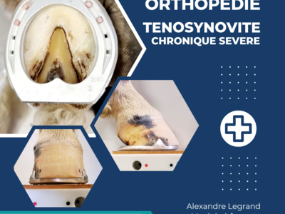 photo account presentation