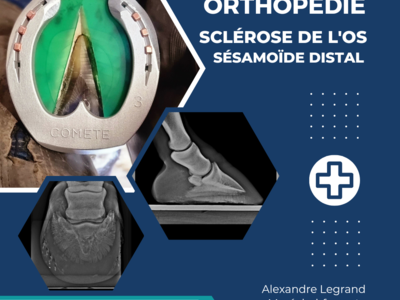 photo account presentation