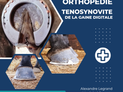 photo account presentation