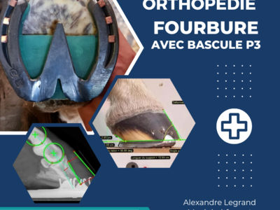 photo account presentation