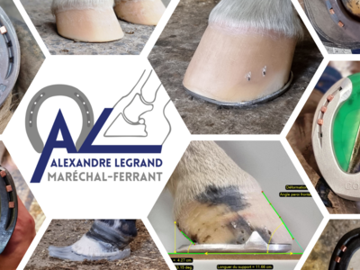 photo account presentation