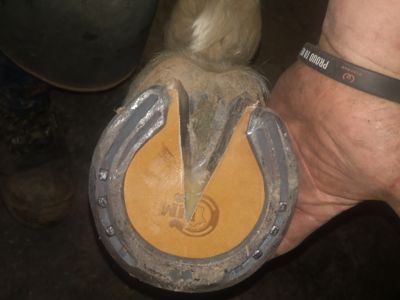 photo account presentation