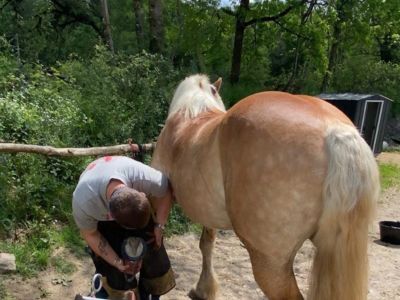 photo account presentation