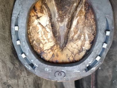 photo account presentation