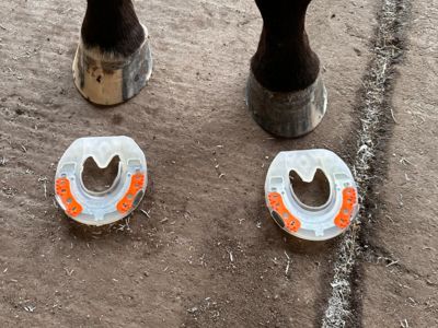 photo account presentation