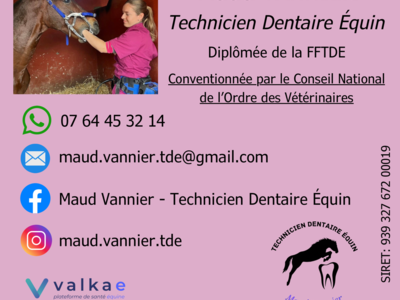 photo account presentation