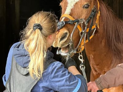 photo account presentation