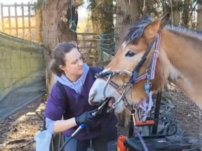 photo account presentation