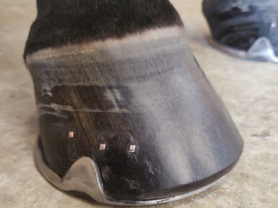 photo account presentation