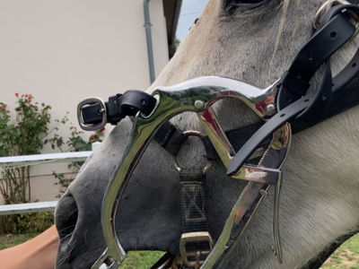 photo account presentation