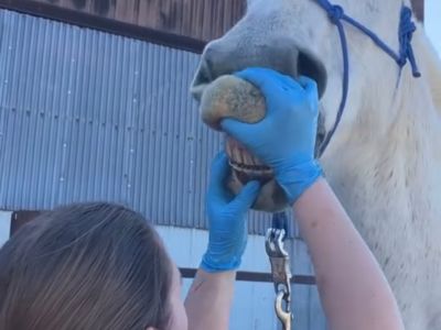 photo account presentation