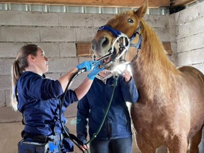 photo account presentation