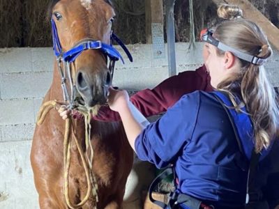 photo account presentation