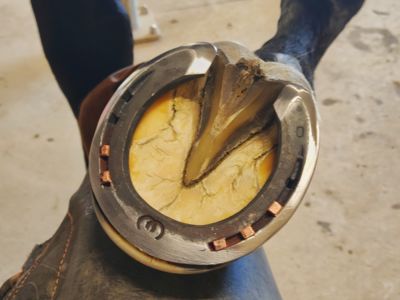 photo account presentation