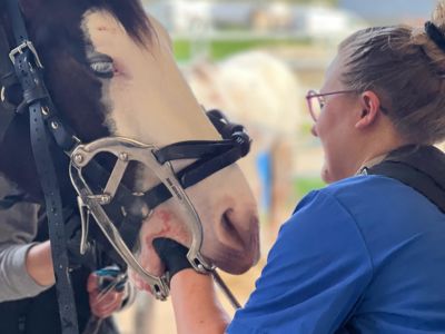 photo account presentation