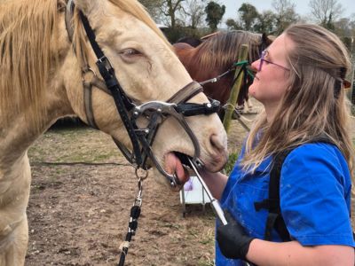 photo account presentation