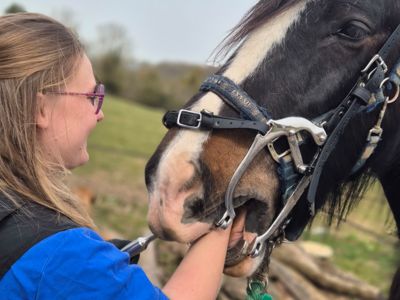 photo account presentation