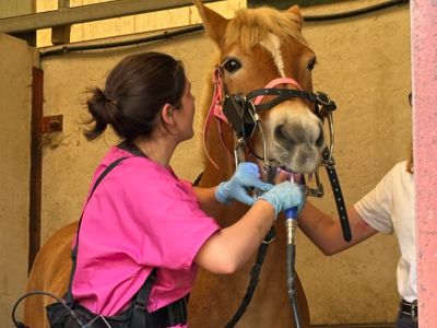 photo account presentation