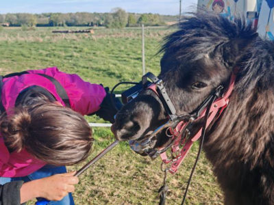 photo account presentation