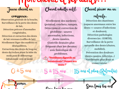 photo account presentation