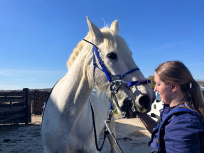 photo account presentation