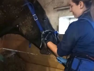 photo account presentation