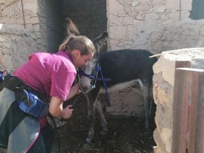 photo account presentation