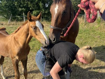 photo account presentation