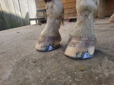 banner picture Marechalerie Gresivaudan