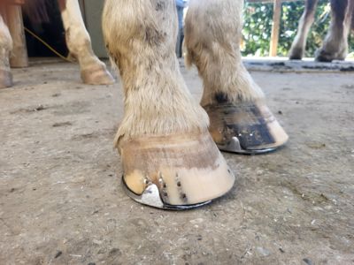 photo account presentation