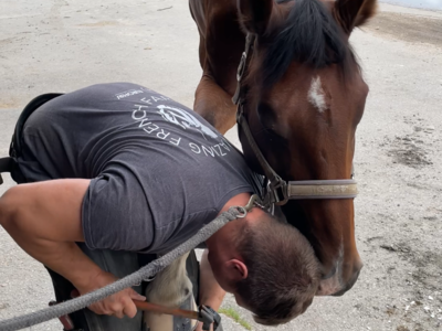 banner picture Garcia Daniel